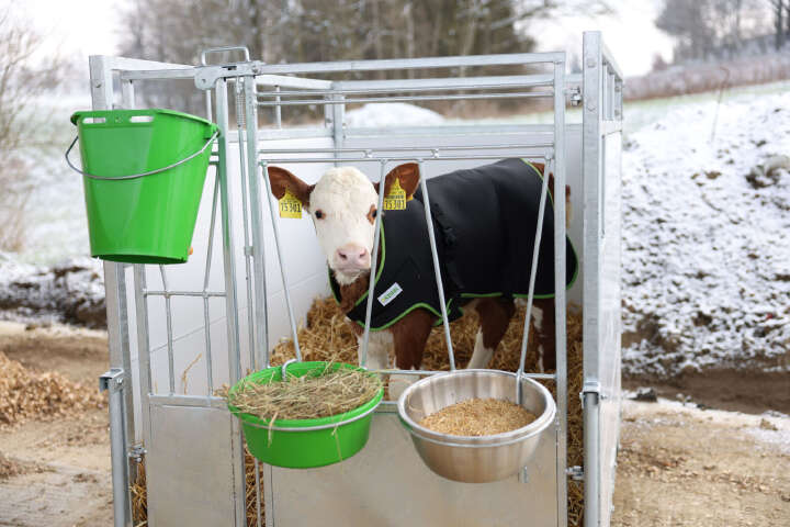 KERBL Kälberdecke Premium